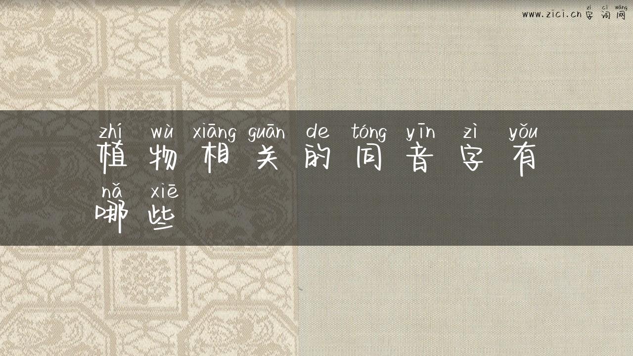 植物相关的同音字有哪些