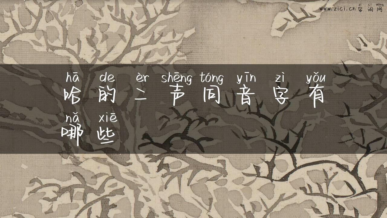 哈的二声同音字有哪些