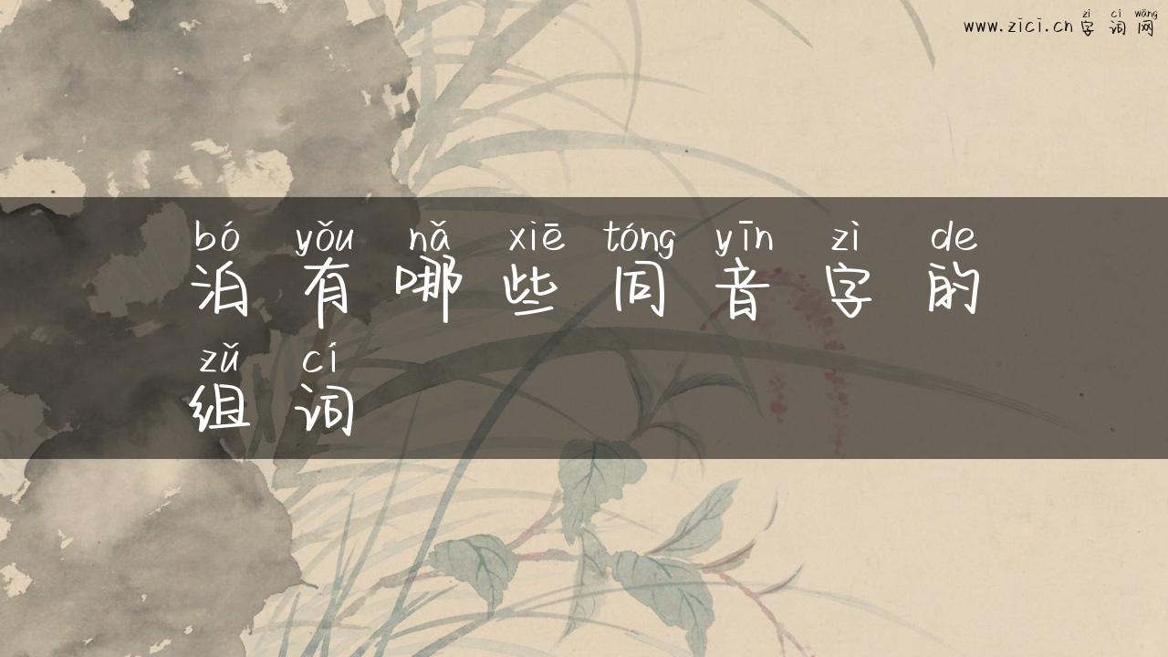 泊有哪些同音字的组词