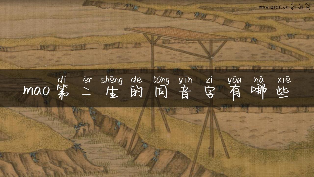 mao第二生的同音字有哪些