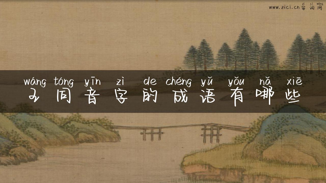 王同音字的成语有哪些