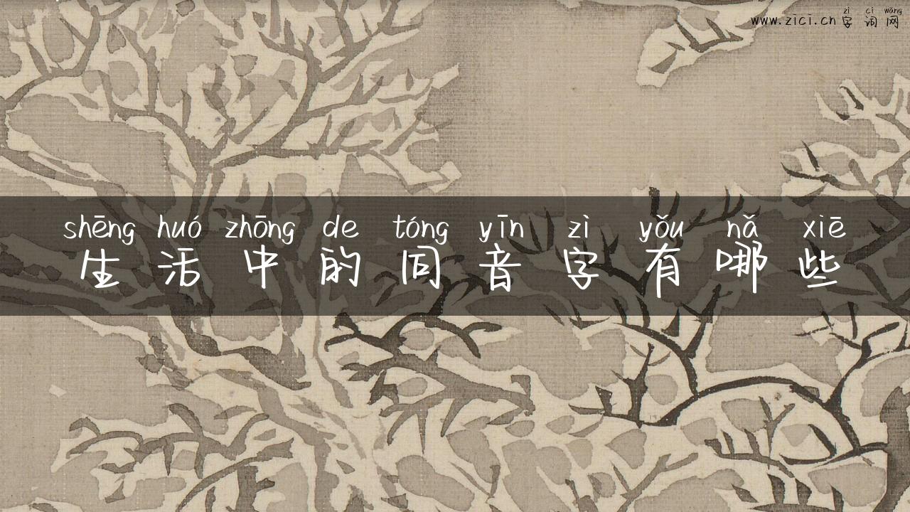 生活中的同音字有哪些