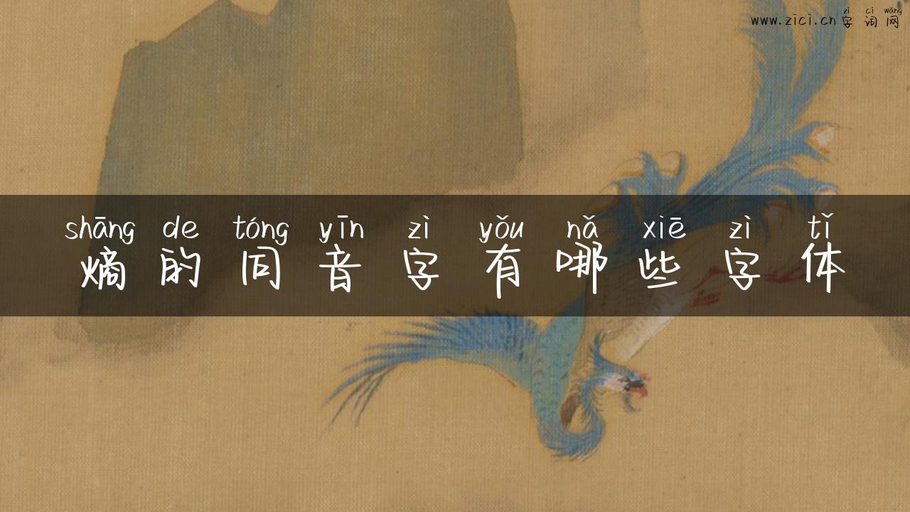 熵的同音字有哪些字体