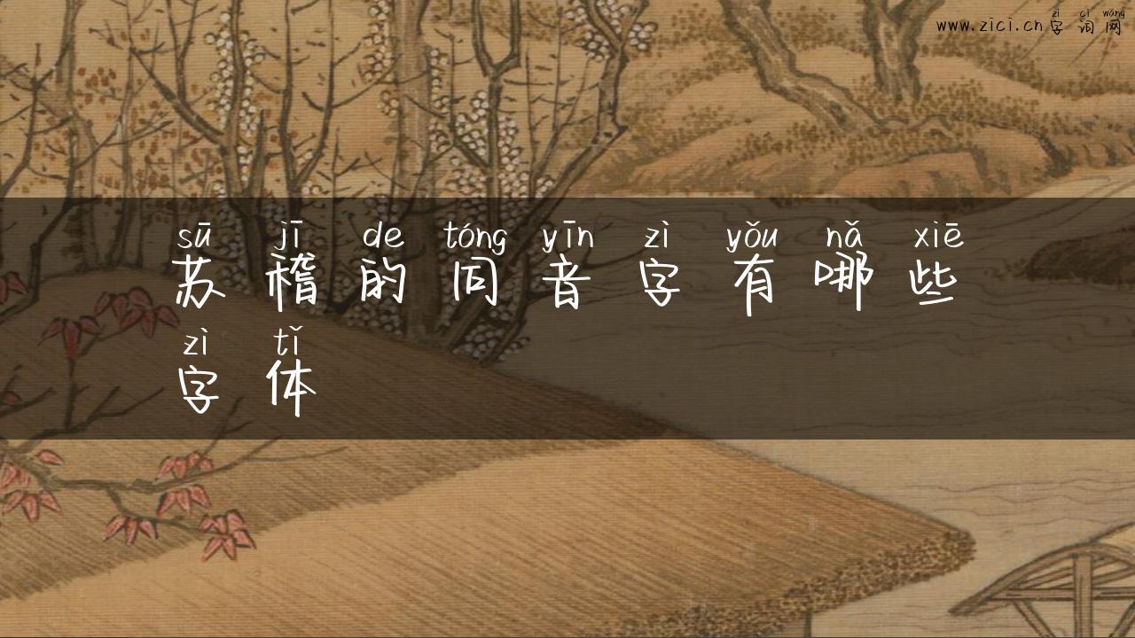苏稽的同音字有哪些字体