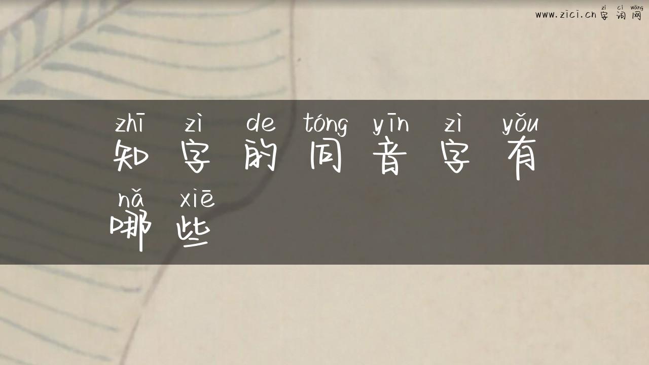 知字的同音字有哪些