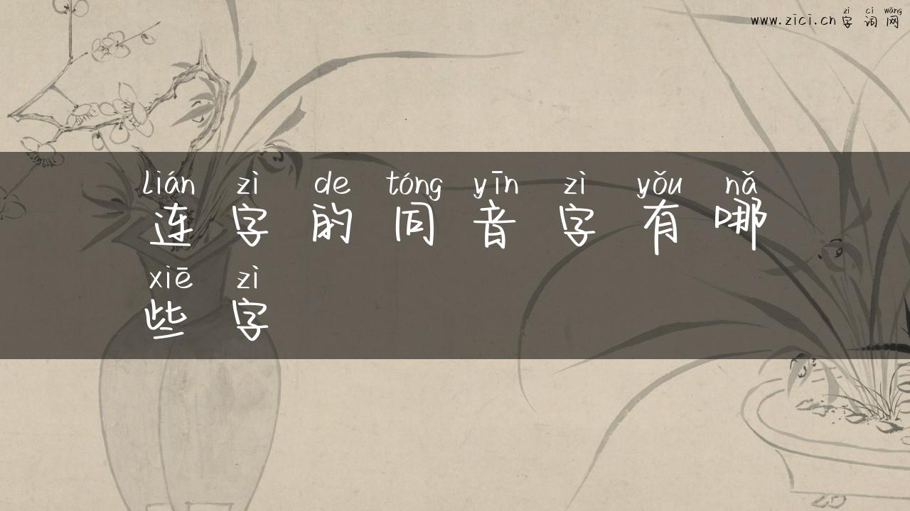 连字的同音字有哪些字