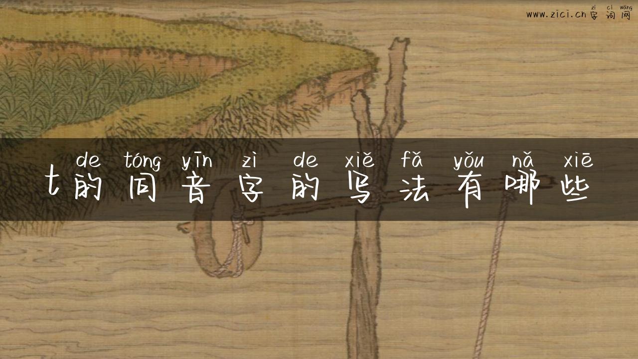 t的同音字的写法有哪些