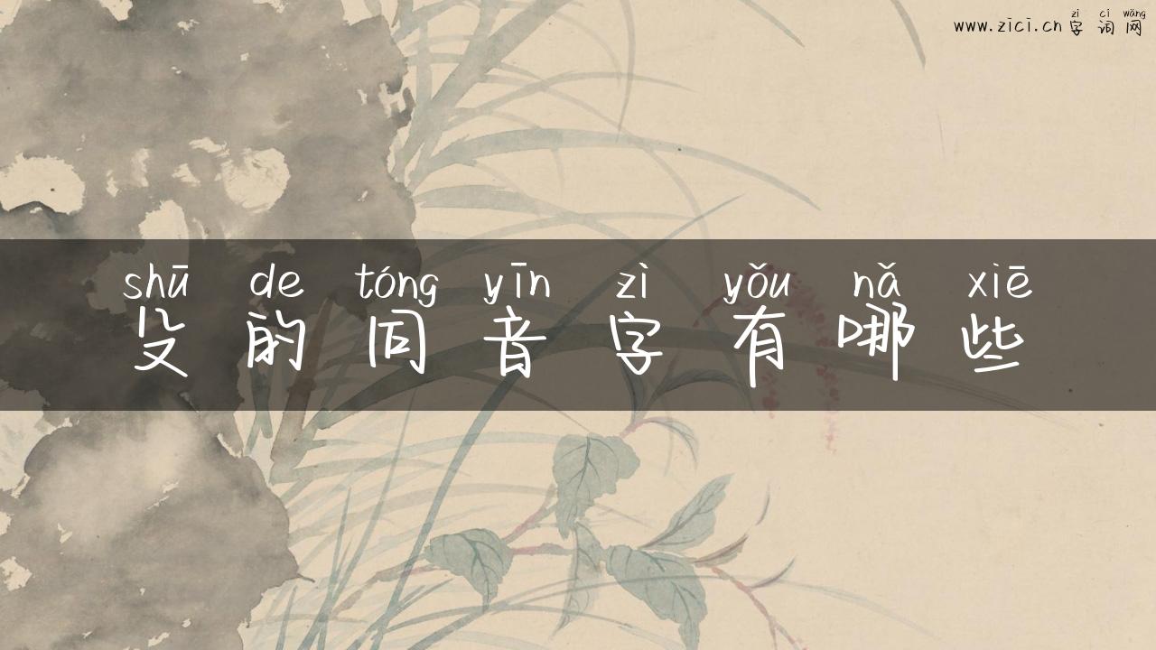 殳的同音字有哪些