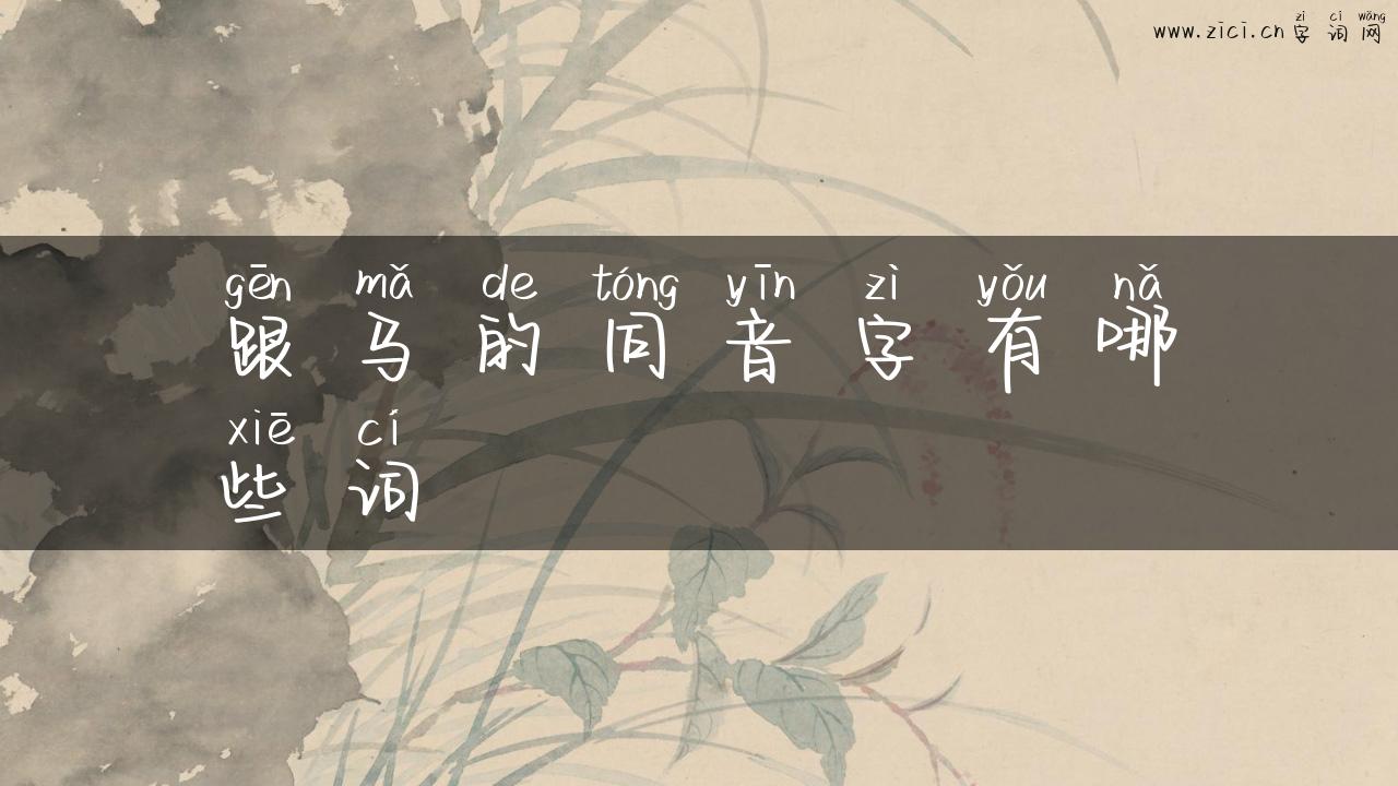 跟马的同音字有哪些词