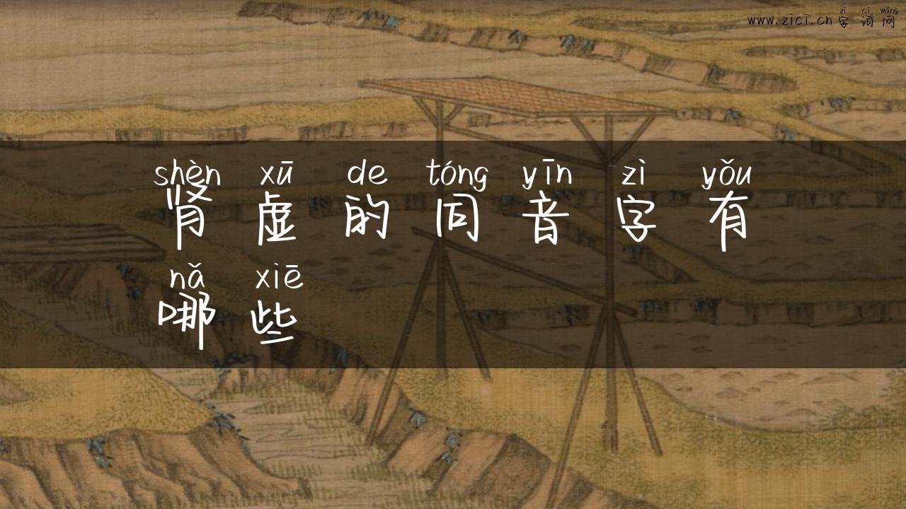 肾虚的同音字有哪些