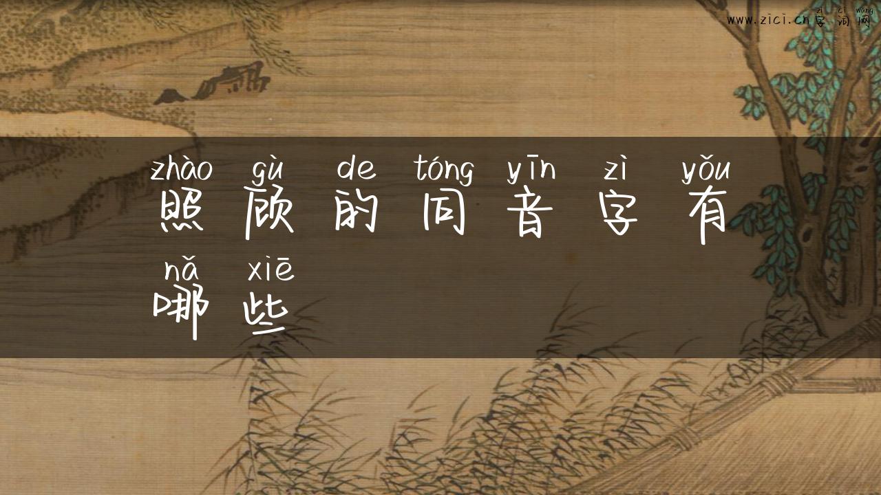 照顾的同音字有哪些