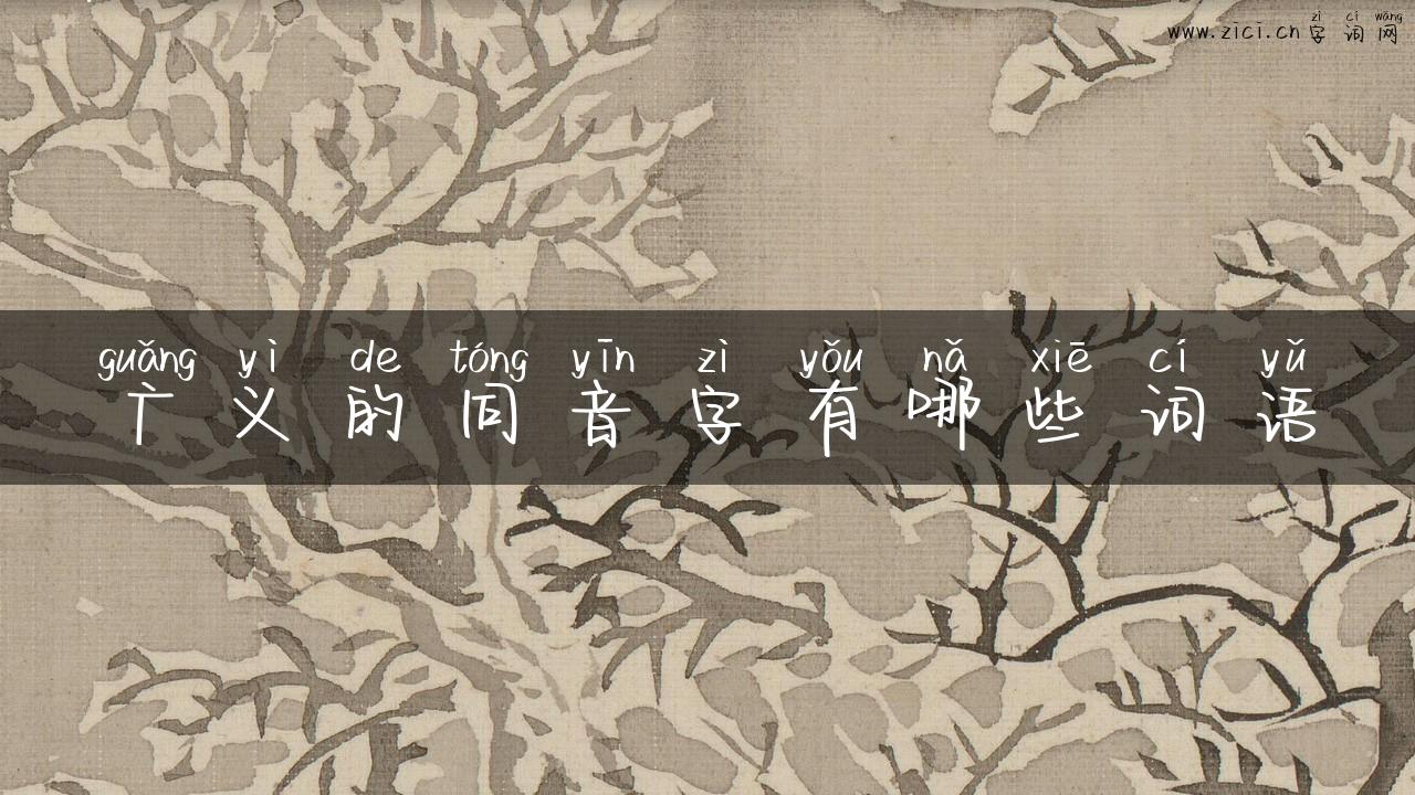 广义的同音字有哪些词语