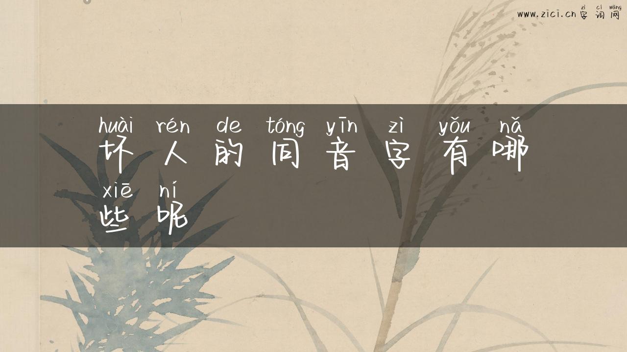 坏人的同音字有哪些呢