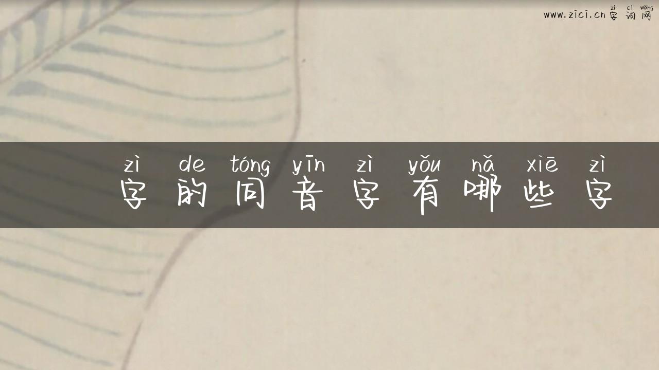 淽字的同音字有哪些字