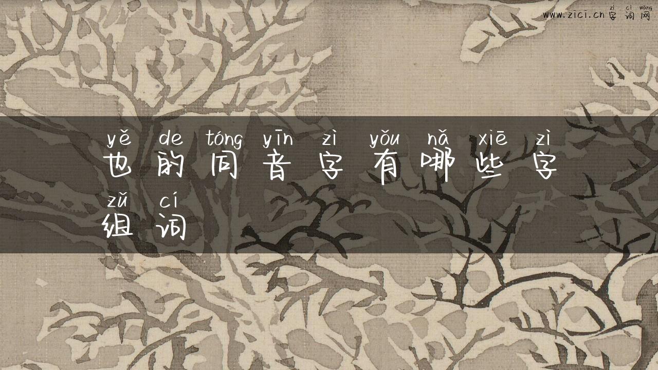也的同音字有哪些字组词