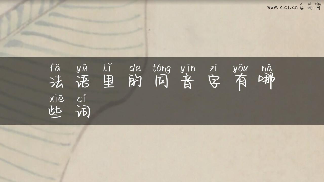 法语里的同音字有哪些词