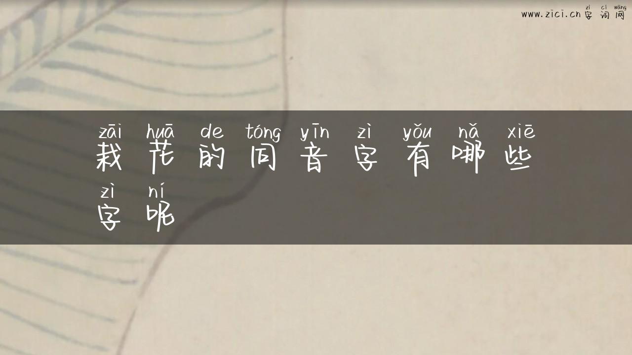栽花的同音字有哪些字呢