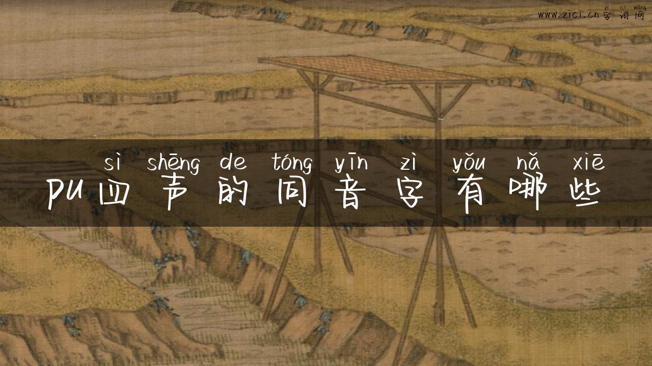 pu四声的同音字有哪些