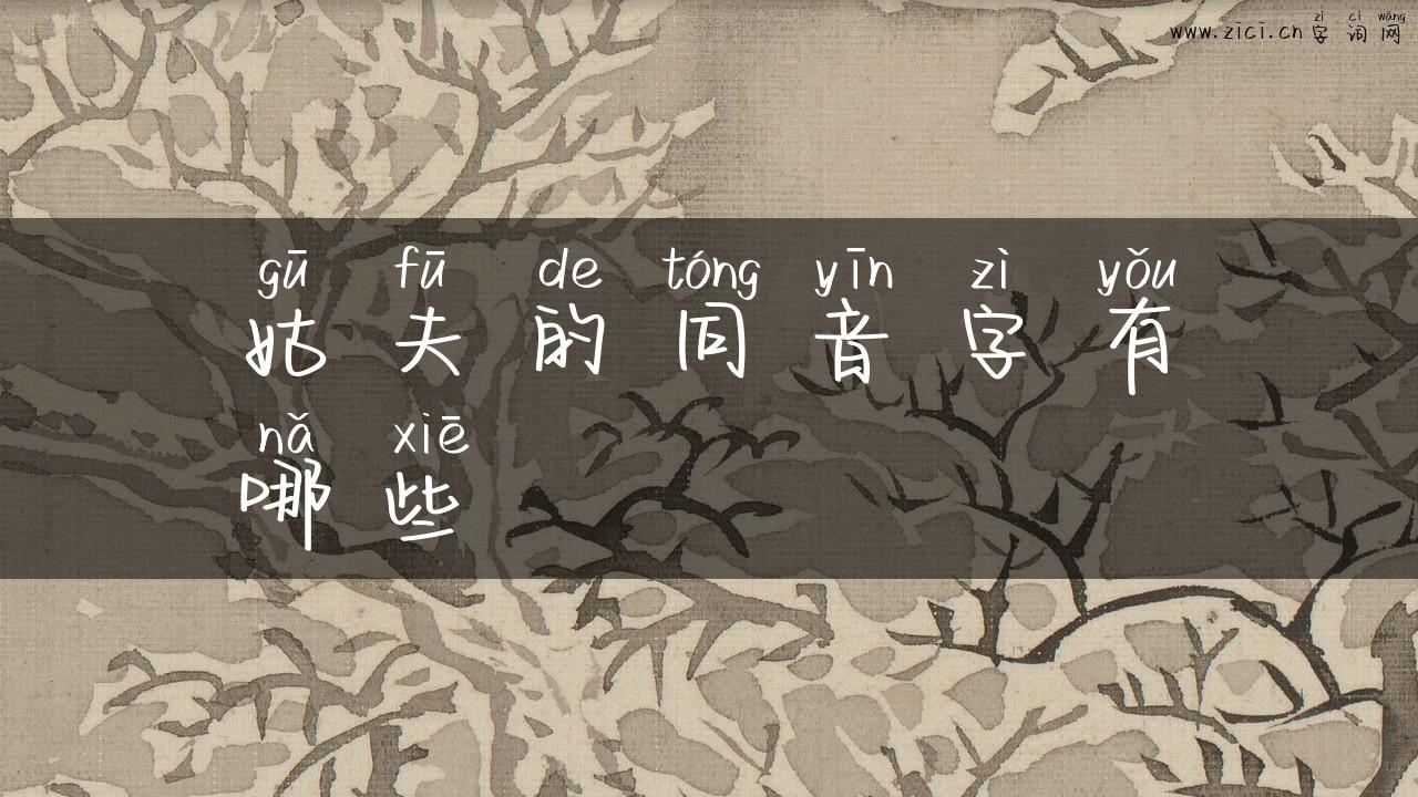 姑夫的同音字有哪些