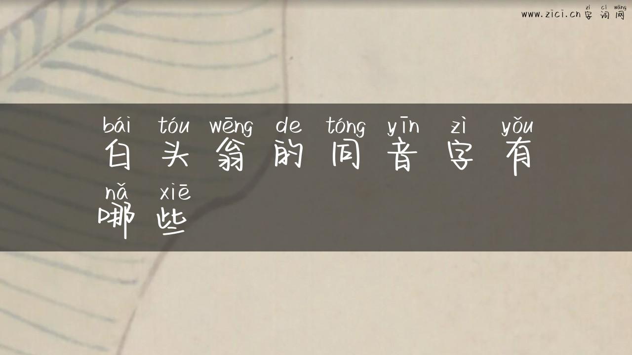 白头翁的同音字有哪些