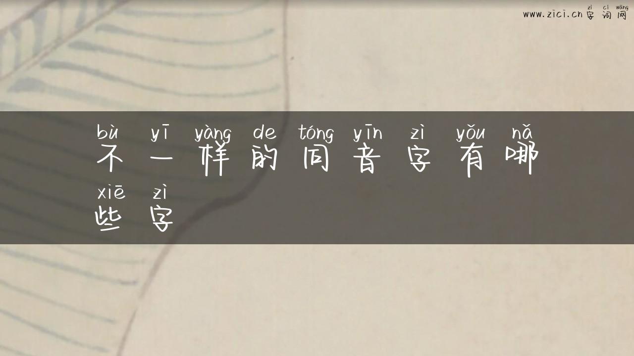 不一样的同音字有哪些字