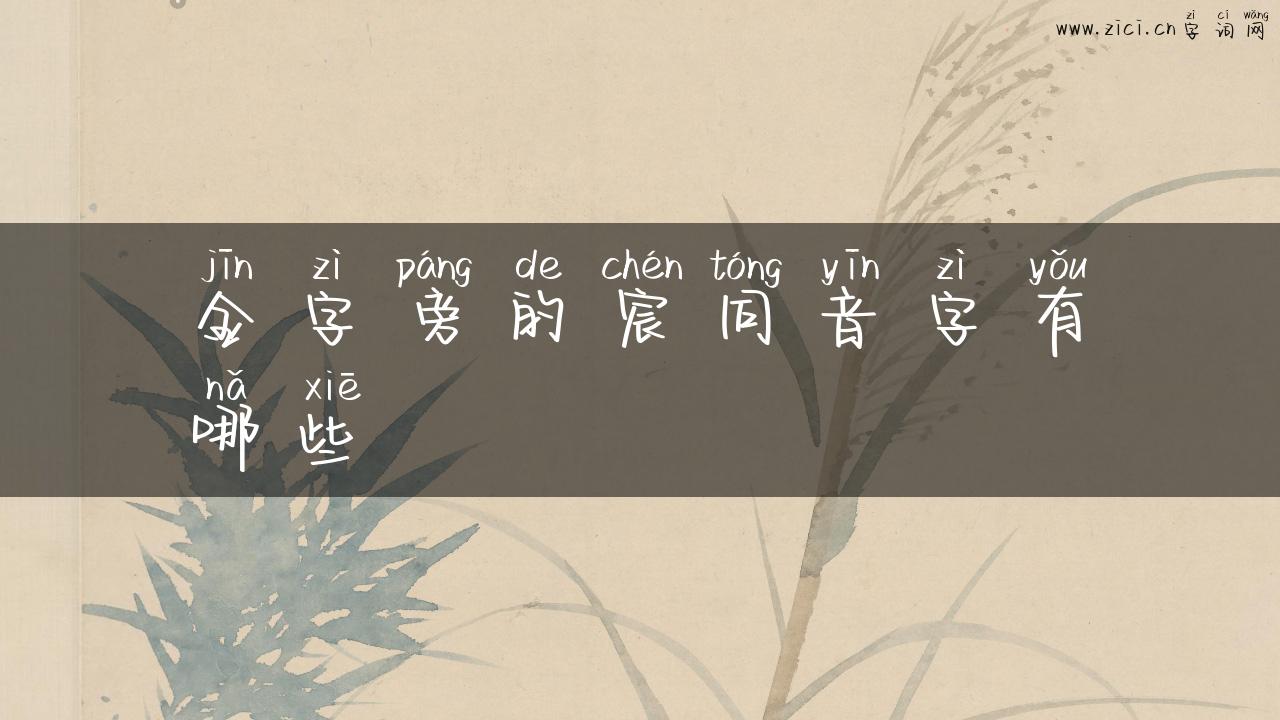金字旁的宸同音字有哪些