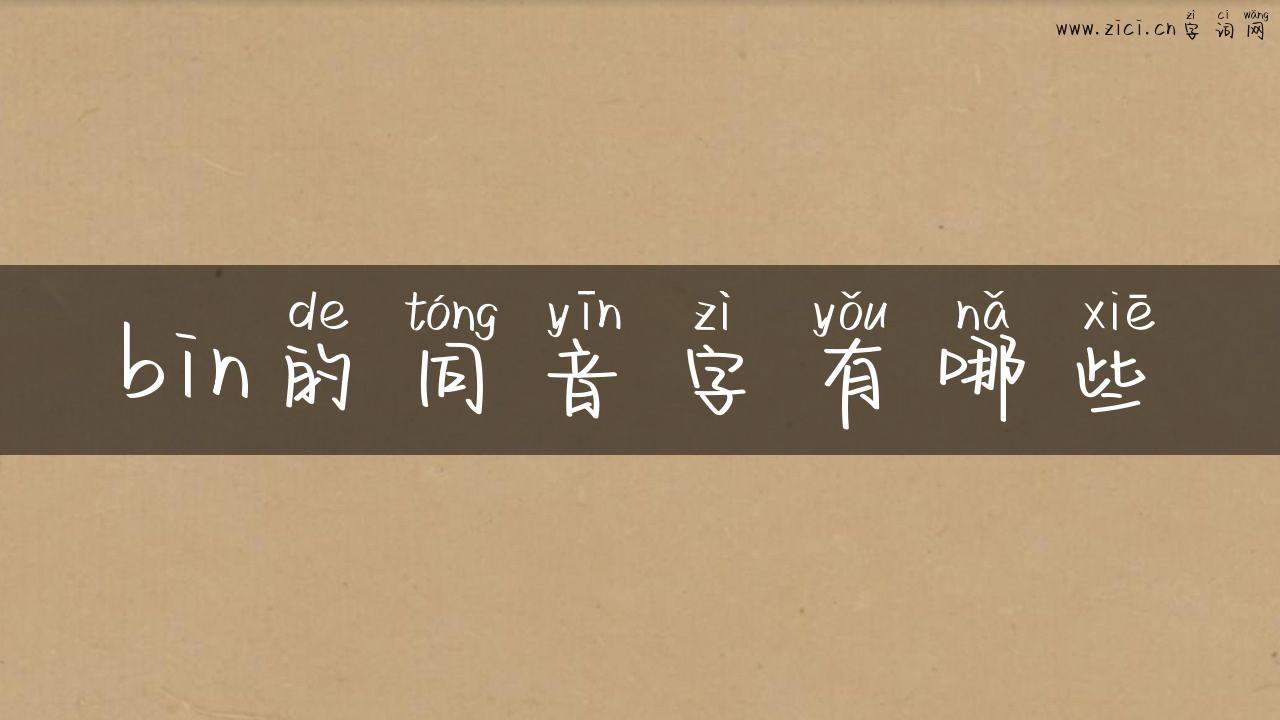 bin的同音字有哪些