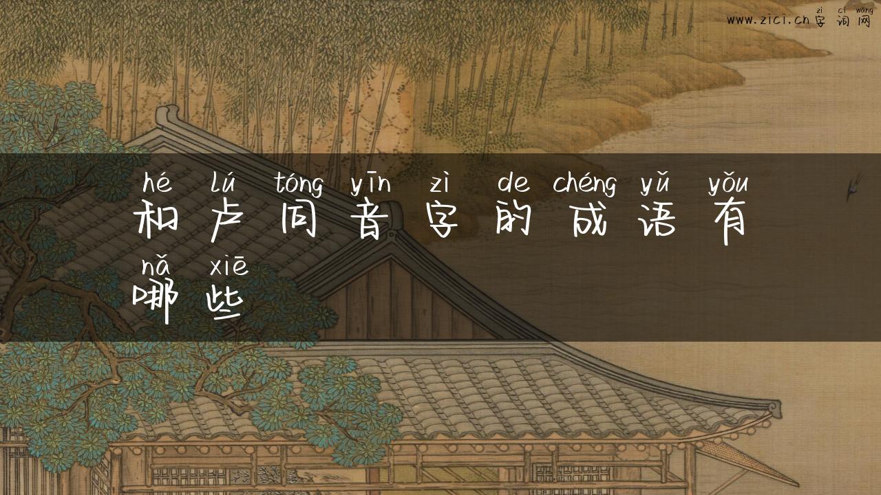 和卢同音字的成语有哪些