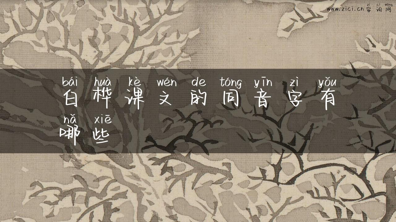 白桦课文的同音字有哪些