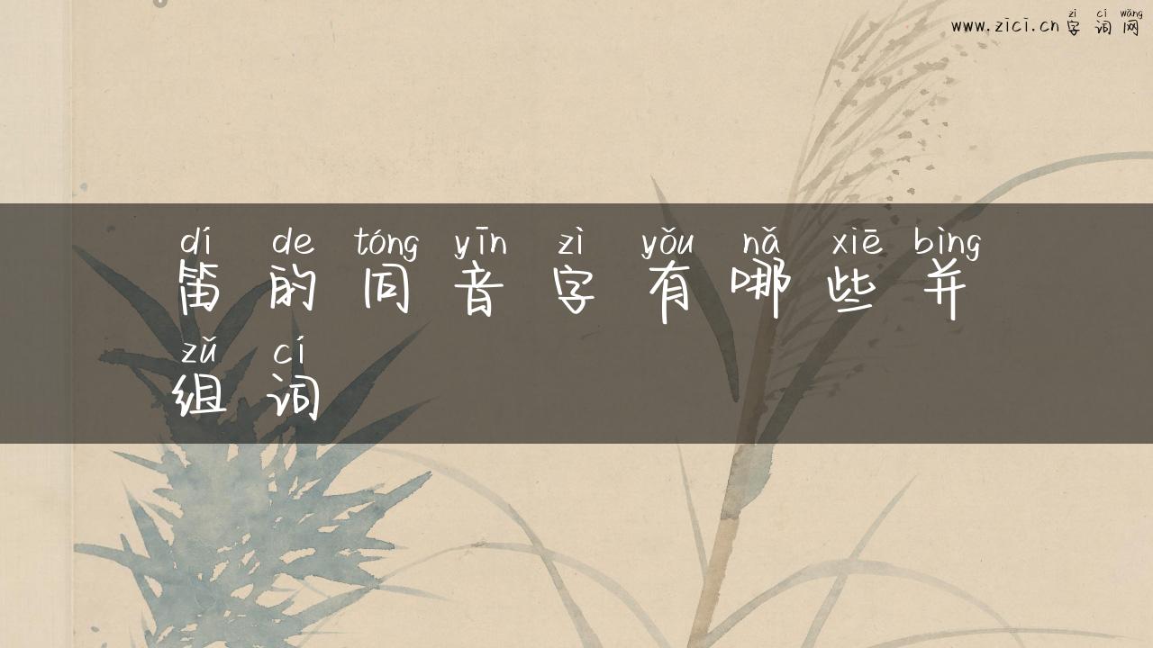 笛的同音字有哪些并组词