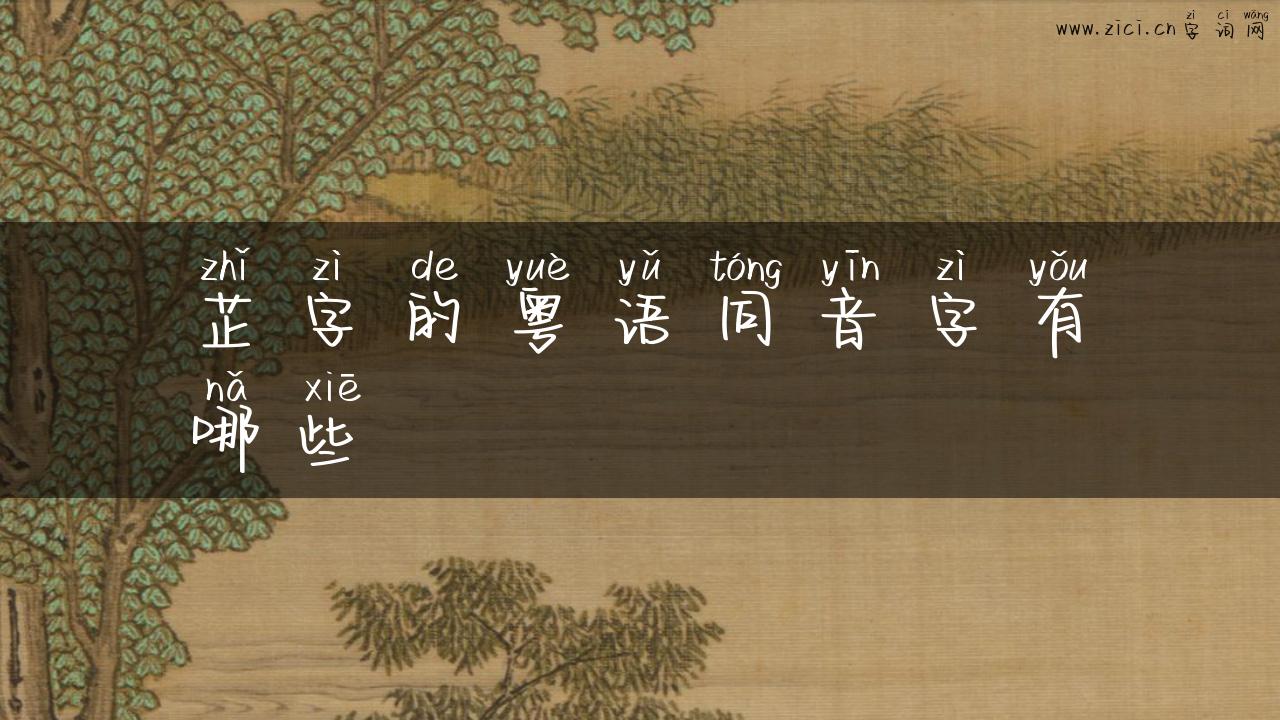 芷字的粤语同音字有哪些