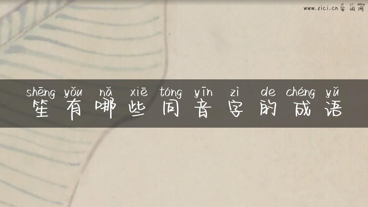 笙有哪些同音字的成语