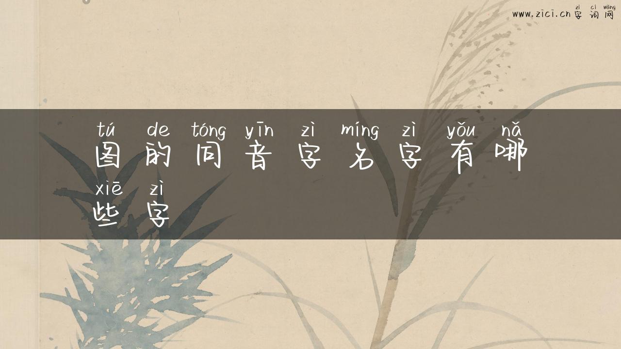 图的同音字名字有哪些字