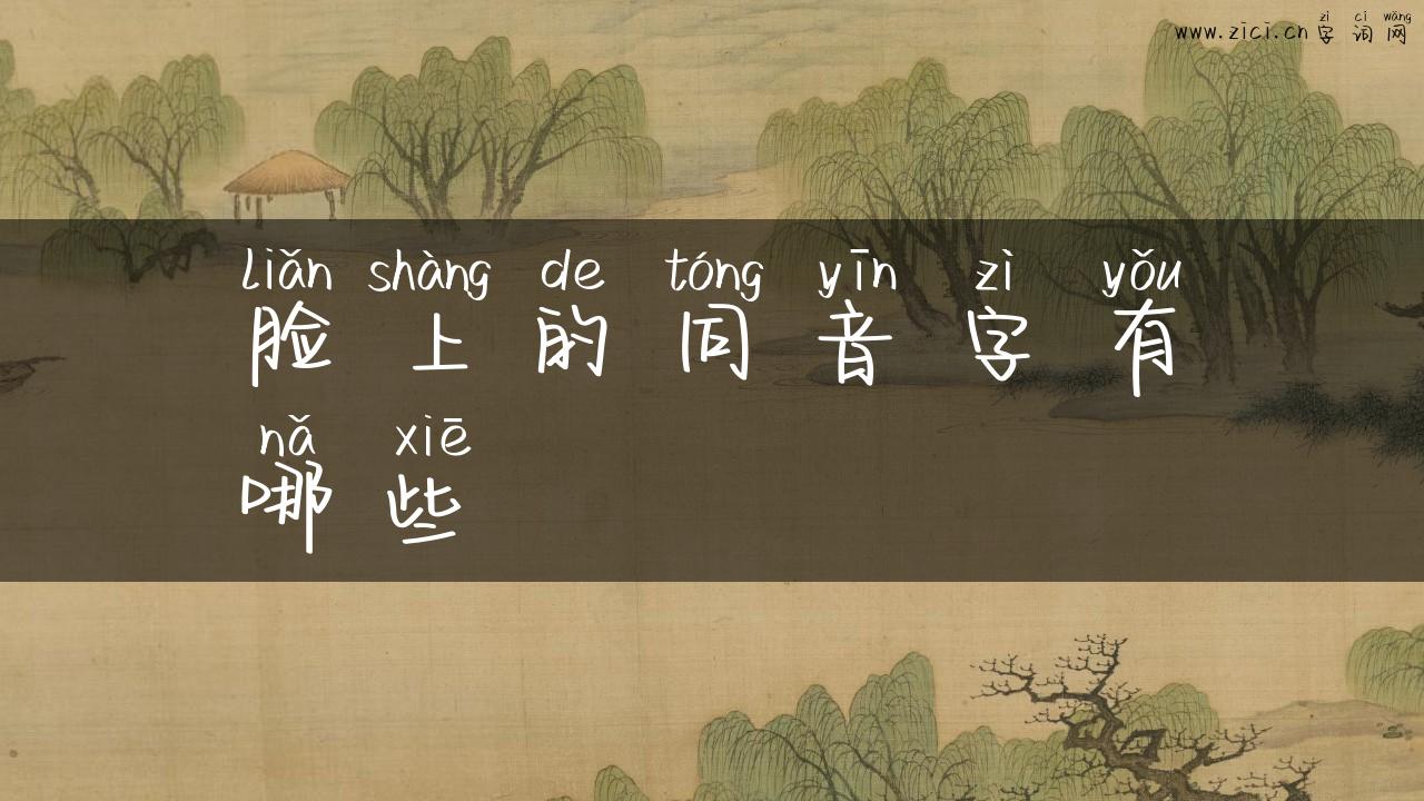 脸上的同音字有哪些