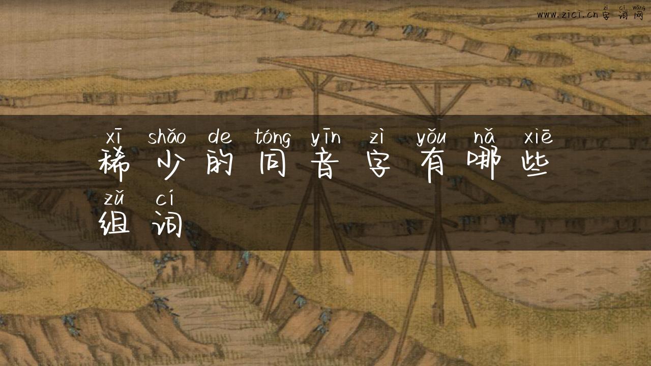 稀少的同音字有哪些组词