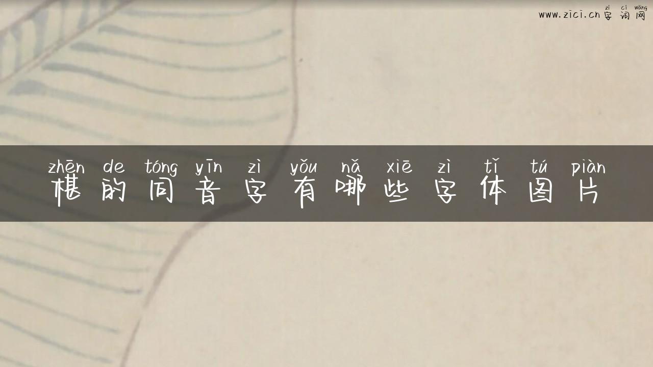 椹的同音字有哪些字体图片