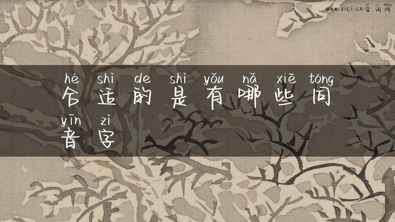合适的是有哪些同音字