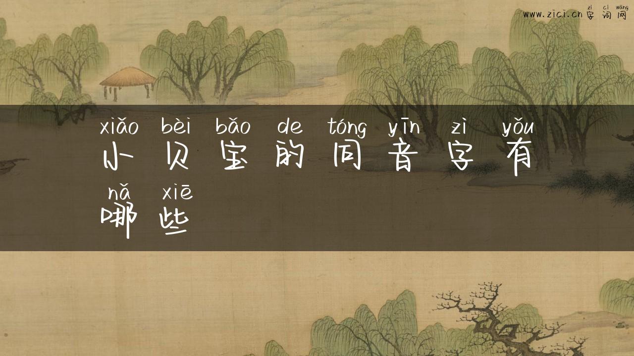 小贝宝的同音字有哪些