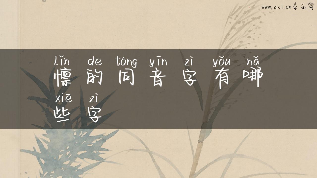 懔的同音字有哪些字