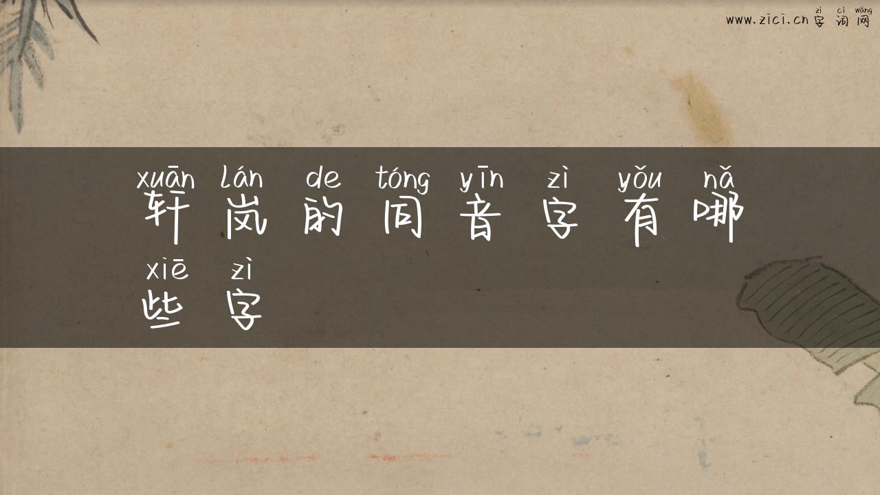 轩岚的同音字有哪些字