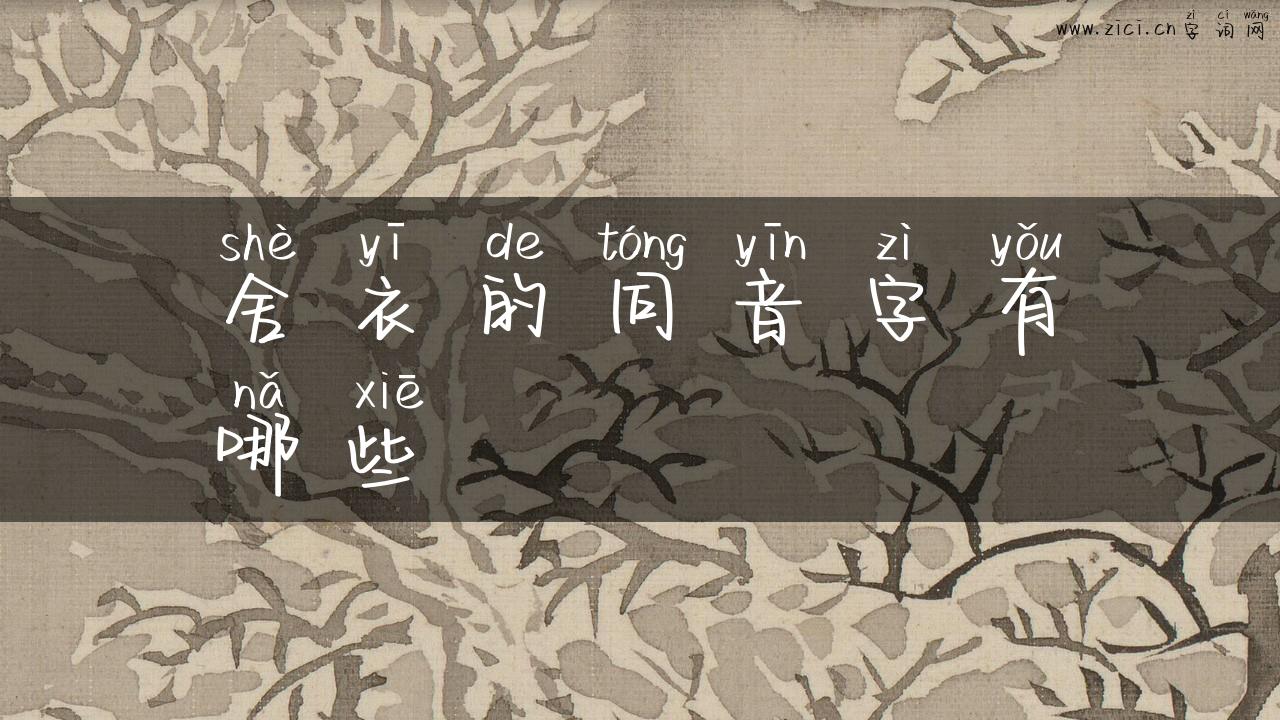 舍衣的同音字有哪些