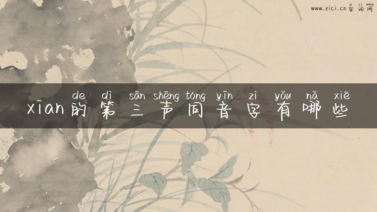 xian的第三声同音字有哪些