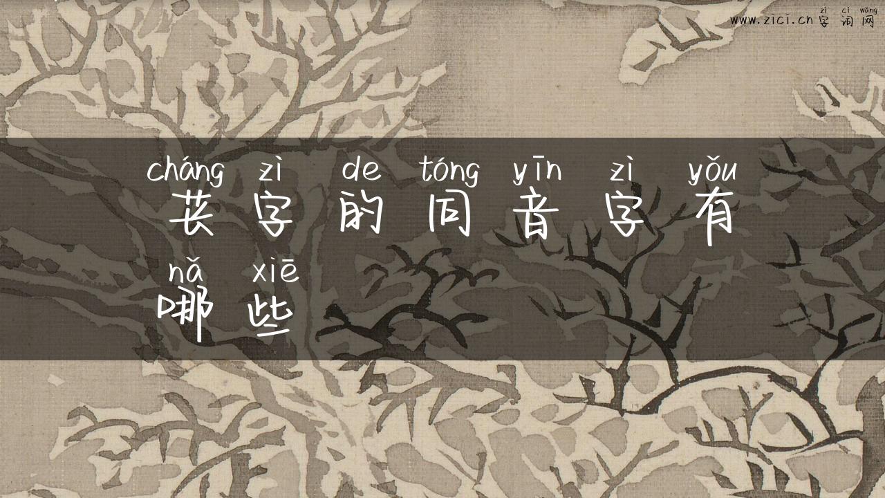 苌字的同音字有哪些