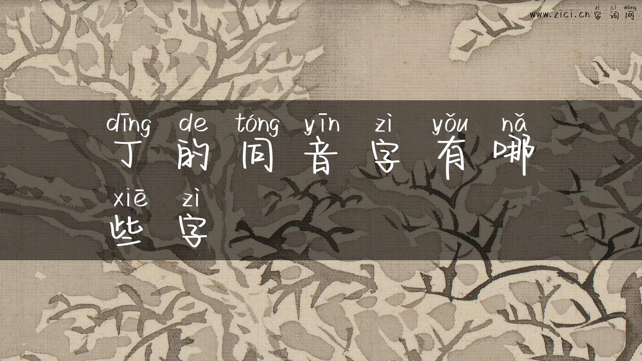 丁的同音字有哪些字