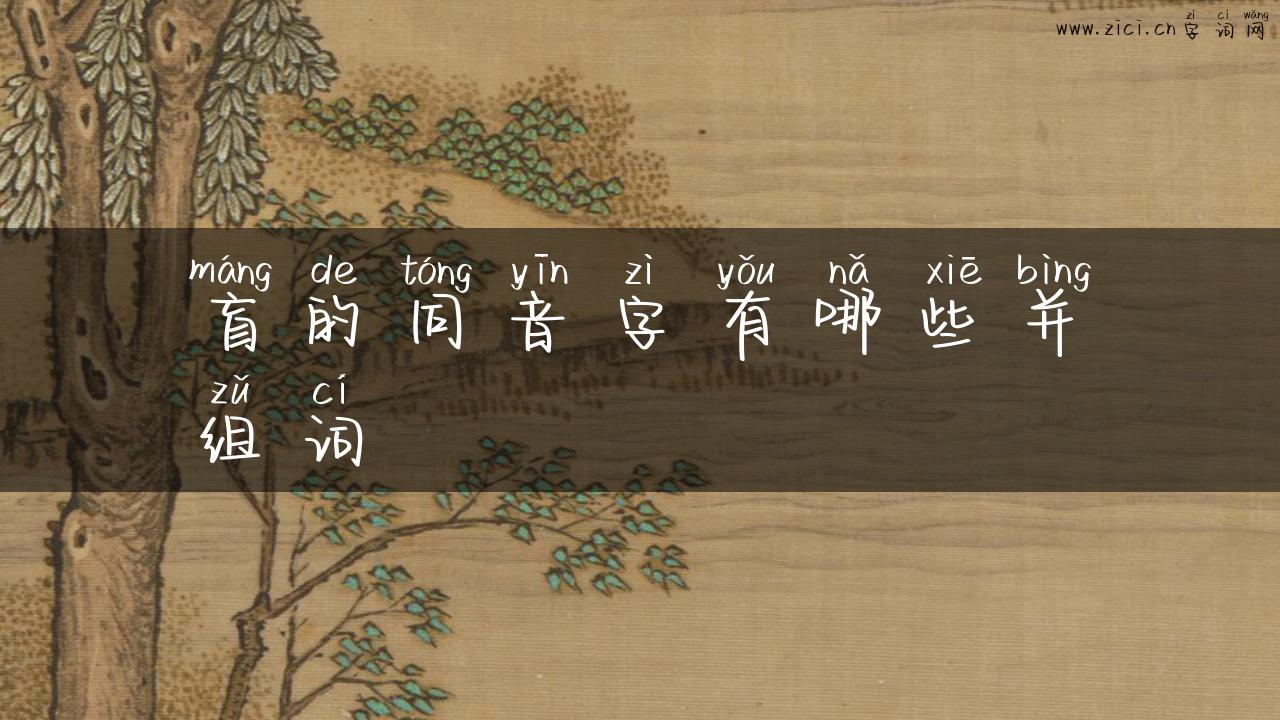 盲的同音字有哪些并组词