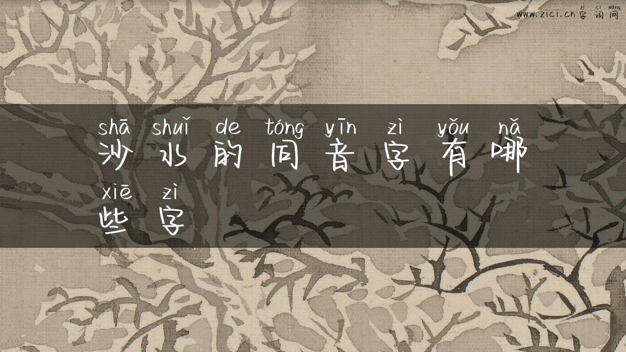沙水的同音字有哪些字