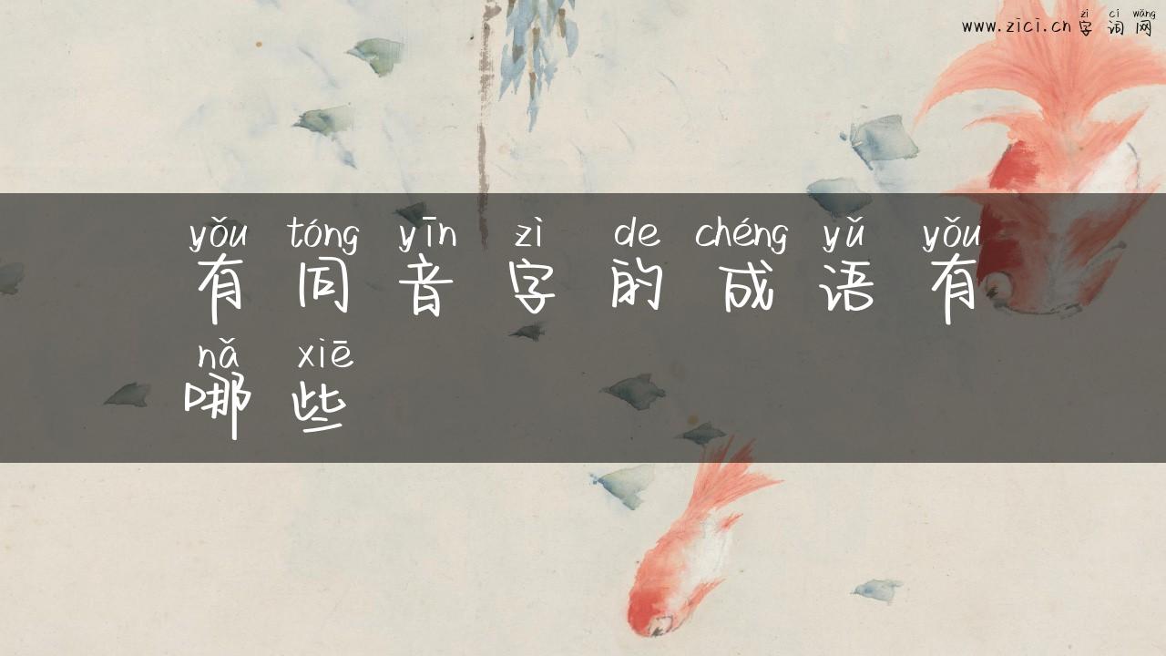 有同音字的成语有哪些