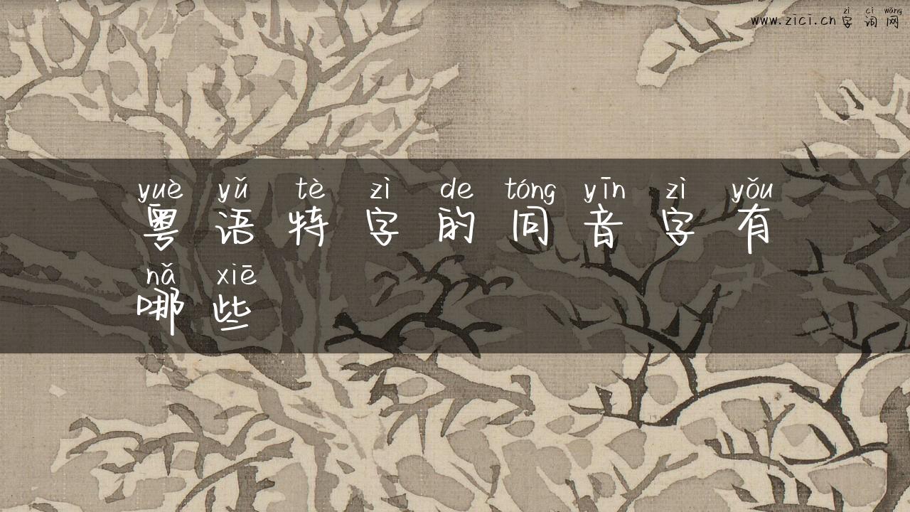 粤语特字的同音字有哪些