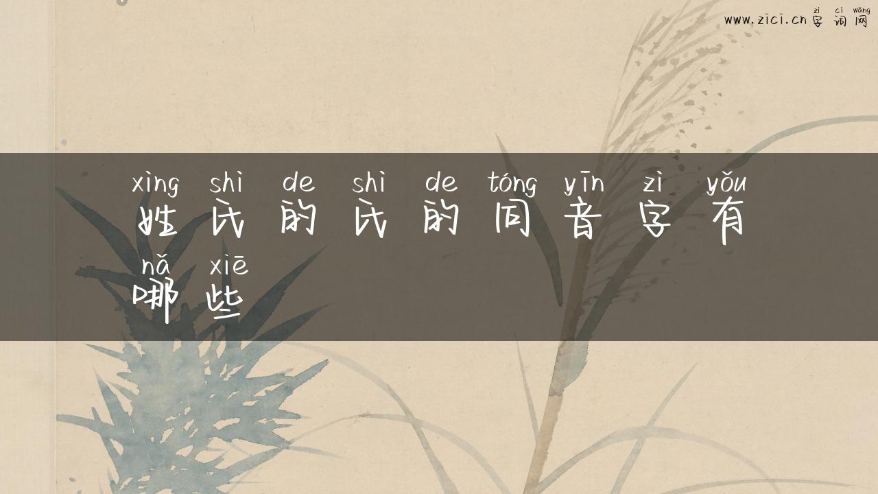 姓氏的氏的同音字有哪些