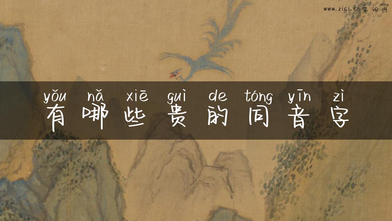 有哪些贵的同音字